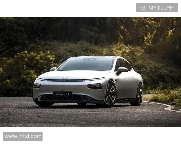 东方石油与威斯特曼的较量：能源市场的未来之争与发展机遇分析