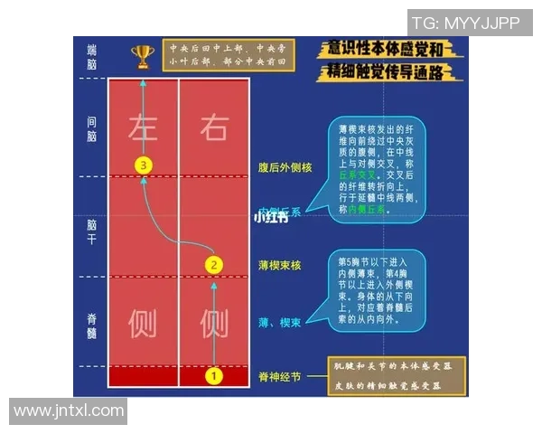 科学排球训练新视野：提升运动员意识的有效方法与技巧