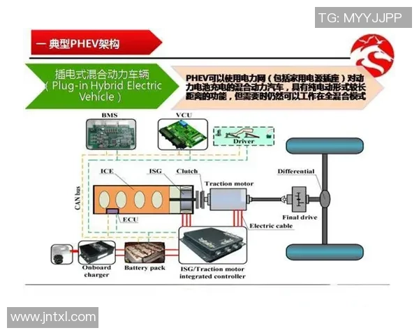 广州乒乓球队控制策略解析与热点动态探讨